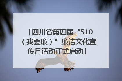 四川省第四届“510（我要廉）”廉洁文化宣传月活动正式启动