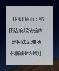 四川眉山：稻田边响起法槌声 巡回法庭现场化解耕地纠纷