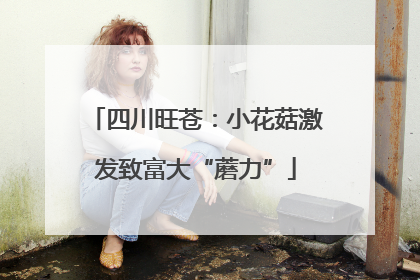 四川旺苍：小花菇激发致富大“蘑力”