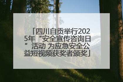 四川自贡举行2025年“安全宣传咨询日”活动 为应急安全公益短视频获奖者颁奖