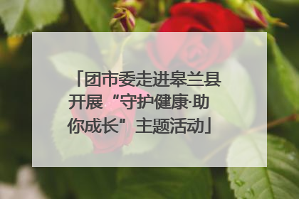 团市委走进皋兰县开展“守护健康·助你成长”主题活动