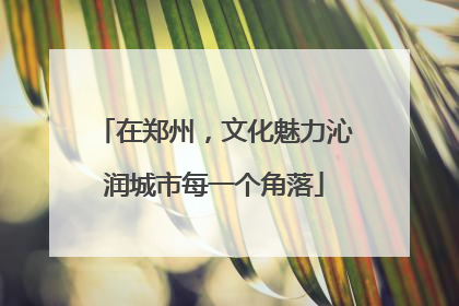 在郑州，文化魅力沁润城市每一个角落