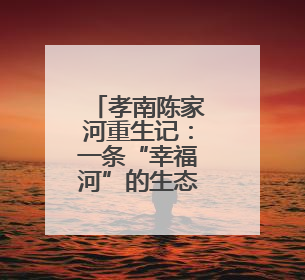 孝南陈家河重生记：一条“幸福河”的生态蝶变