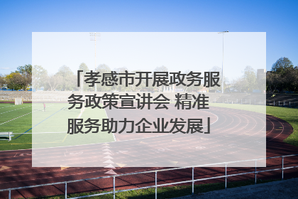 孝感市开展政务服务政策宣讲会 精准服务助力企业发展