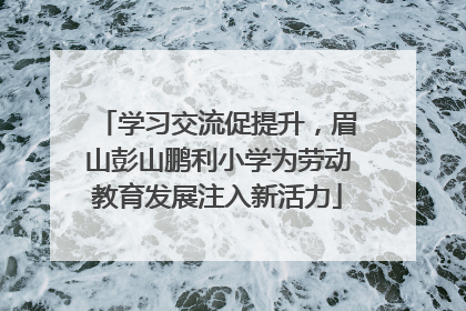 学习交流促提升，眉山彭山鹏利小学为劳动教育发展注入新活力