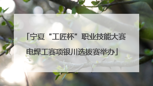 宁夏“工匠杯”职业技能大赛电焊工赛项银川选拔赛举办
