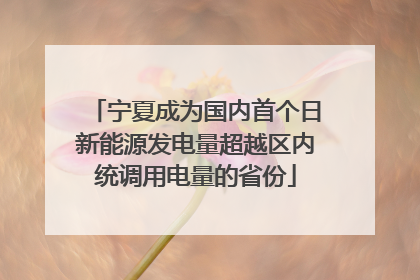 宁夏成为国内首个日新能源发电量超越区内统调用电量的省份