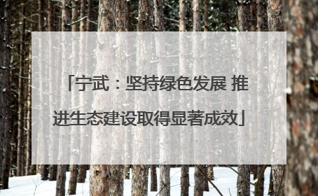 宁武：坚持绿色发展 推进生态建设取得显著成效