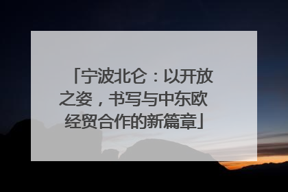 宁波北仑：以开放之姿，书写与中东欧经贸合作的新篇章