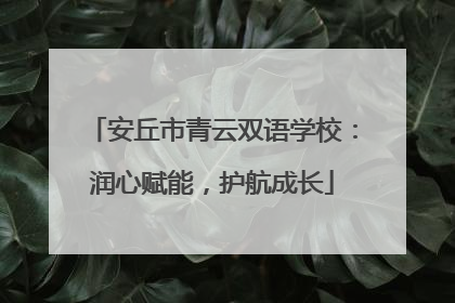 安丘市青云双语学校：润心赋能，护航成长