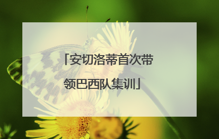 安切洛蒂首次带领巴西队集训