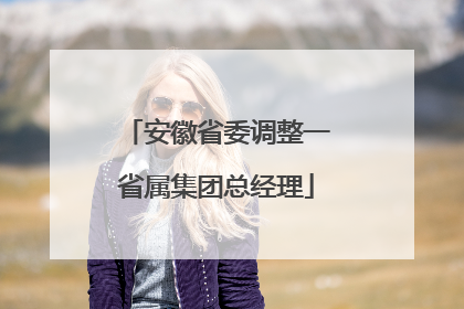 安徽省委调整一省属集团总经理