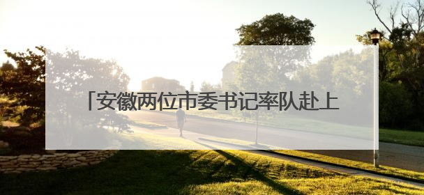 安徽两位市委书记率队赴上海考察，去了哪些企业？