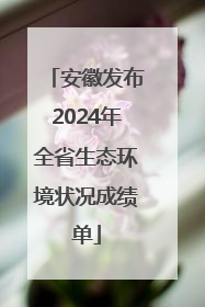 安徽发布2024年全省生态环境状况成绩单