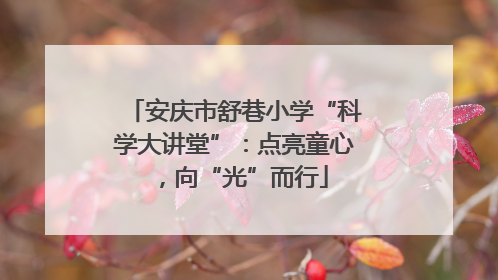 安庆市舒巷小学“科学大讲堂”：点亮童心，向“光”而行