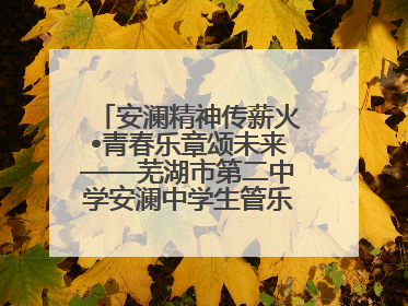 安澜精神传薪火•青春乐章颂未来——芜湖市第二中学安澜中学生管乐团第十二届公益展演圆满举行