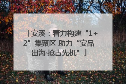 安溪：着力构建“1+2”集聚区 助力“安品出海·抢占先机”