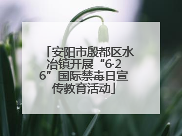 安阳市殷都区水冶镇开展“6·26”国际禁毒日宣传教育活动