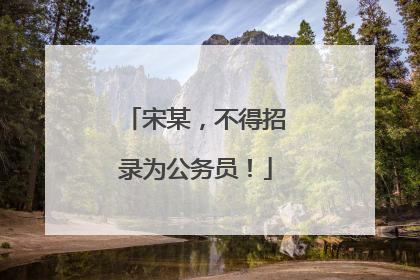 宋某，不得招录为公务员！