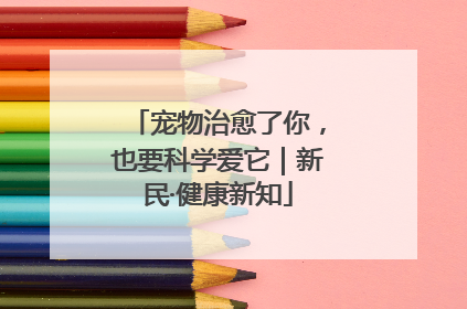 宠物治愈了你，也要科学爱它｜新民·健康新知