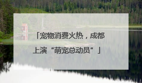 宠物消费火热，成都上演“萌宠总动员”