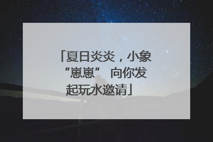 夏日炎炎，小象“崽崽” 向你发起玩水邀请