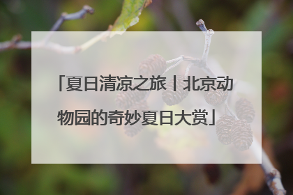 夏日清凉之旅丨北京动物园的奇妙夏日大赏