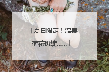 夏日限定！温县荷花初绽……
