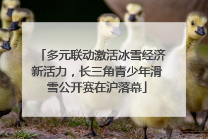 多元联动激活冰雪经济新活力，长三角青少年滑雪公开赛在沪落幕