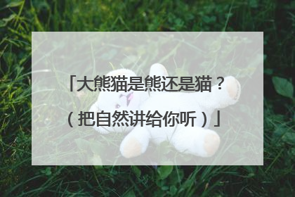 大熊猫是熊还是猫？（把自然讲给你听）