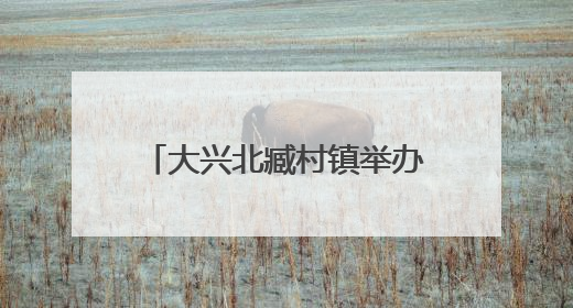 大兴北臧村镇举办镇企共建端午活动 手作香囊共话安康