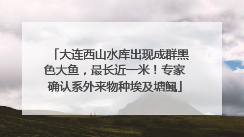大连西山水库出现成群黑色大鱼，最长近一米！专家确认系外来物种埃及塘鲺