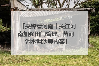 央媒看河南丨关注河南加强田间管理、黄河调水调沙等内容