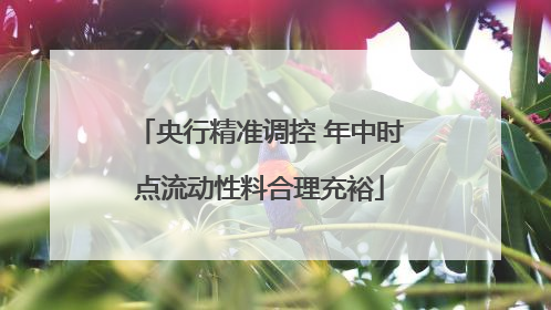 央行精准调控 年中时点流动性料合理充裕