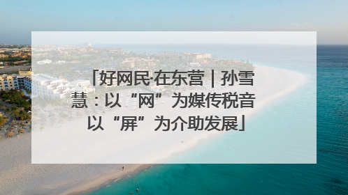 好网民·在东营｜孙雪慧：以“网”为媒传税音 以“屏”为介助发展