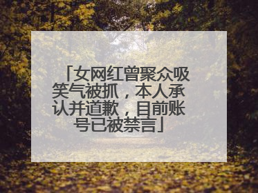 女网红曾聚众吸笑气被抓，本人承认并道歉，目前账号已被禁言