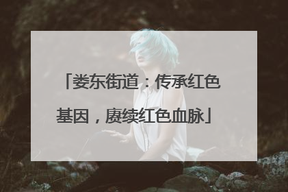 娄东街道：传承红色基因，赓续红色血脉