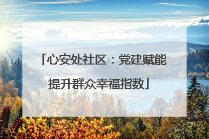 心安处社区：党建赋能 提升群众幸福指数