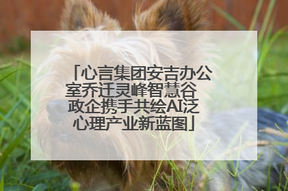 心言集团安吉办公室乔迁灵峰智慧谷 政企携手共绘AI泛心理产业新蓝图