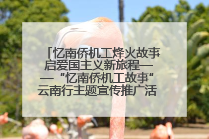 忆南侨机工烽火故事 启爱国主义新旅程——“忆南侨机工故事”云南行主题宣传推广活动圆满收官