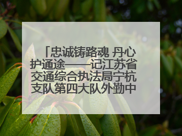 忠诚铸路魂 丹心护通途——记江苏省交通综合执法局宁杭支队第四大队外勤中队长奚强