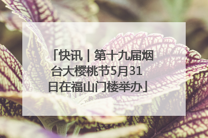 快讯｜第十九届烟台大樱桃节5月31日在福山门楼举办