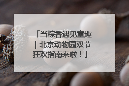 当粽香遇见童趣｜北京动物园双节狂欢指南来啦！