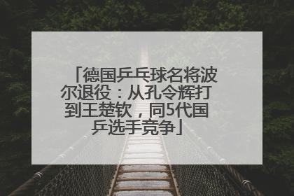 德国乒乓球名将波尔退役：从孔令辉打到王楚钦，同5代国乒选手竞争