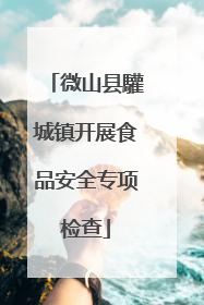 微山县驩城镇开展食品安全专项检查