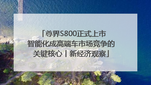 尊界S800正式上市 智能化成高端车市场竞争的关键核心丨新经济观察