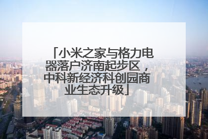 小米之家与格力电器落户济南起步区，中科新经济科创园商业生态升级