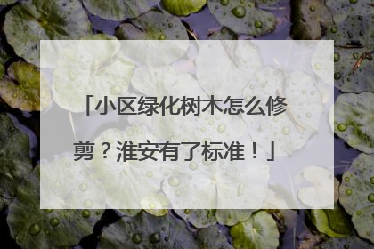 小区绿化树木怎么修剪？淮安有了标准！