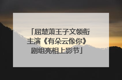 屈楚萧王子文领衔主演《有朵云像你》剧组亮相上影节