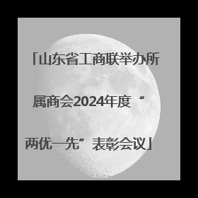 山东省工商联举办所属商会2024年度“两优一先”表彰会议
